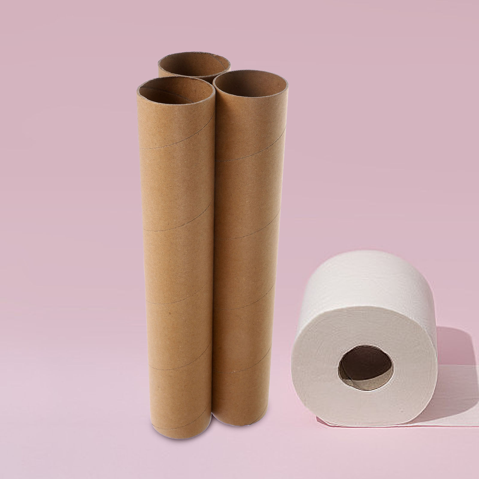 Art Craft Youtube - 3 tubos de papel en blanco