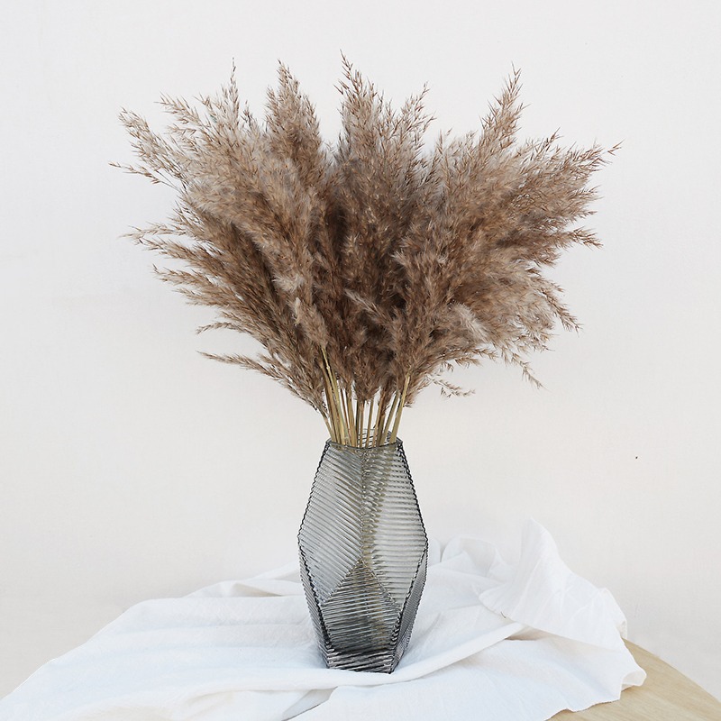 10 Piezas de Cañas Naturales C - Art Craft Vase reseña y precio