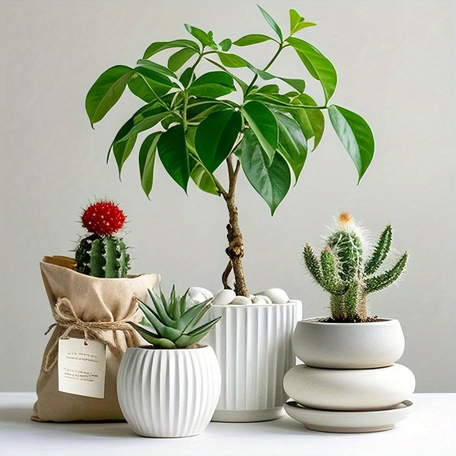 200/400g guijarros naturales b - Art Craft Vase reseña y precio