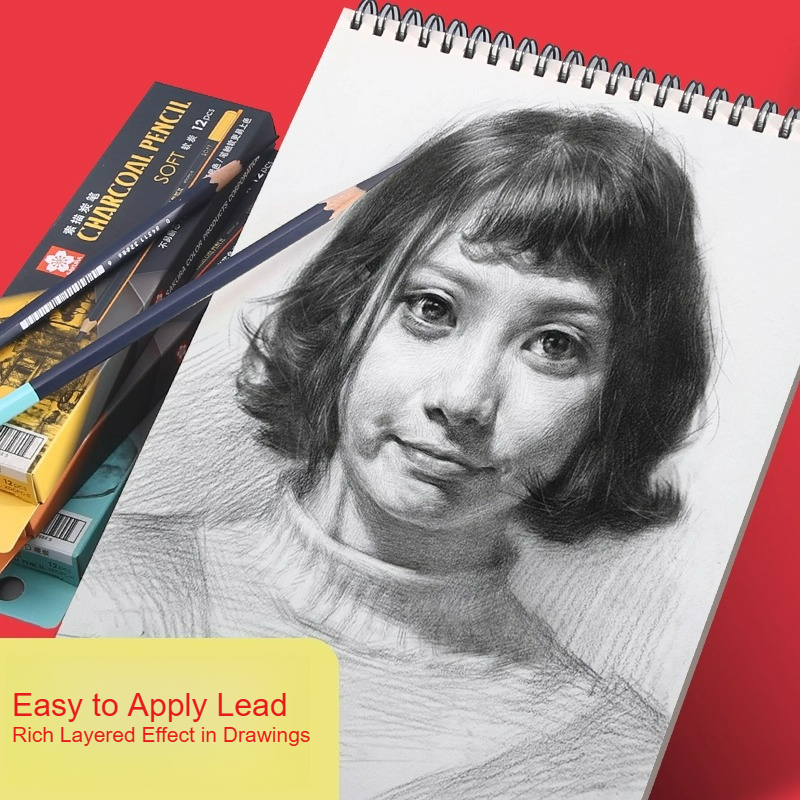 Lápices de dibujo SAKURA, carb - Chalk Pastel Set reseña y precio